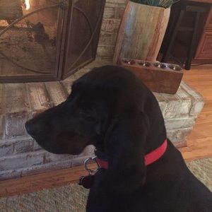 Meet your Posher, Melinda